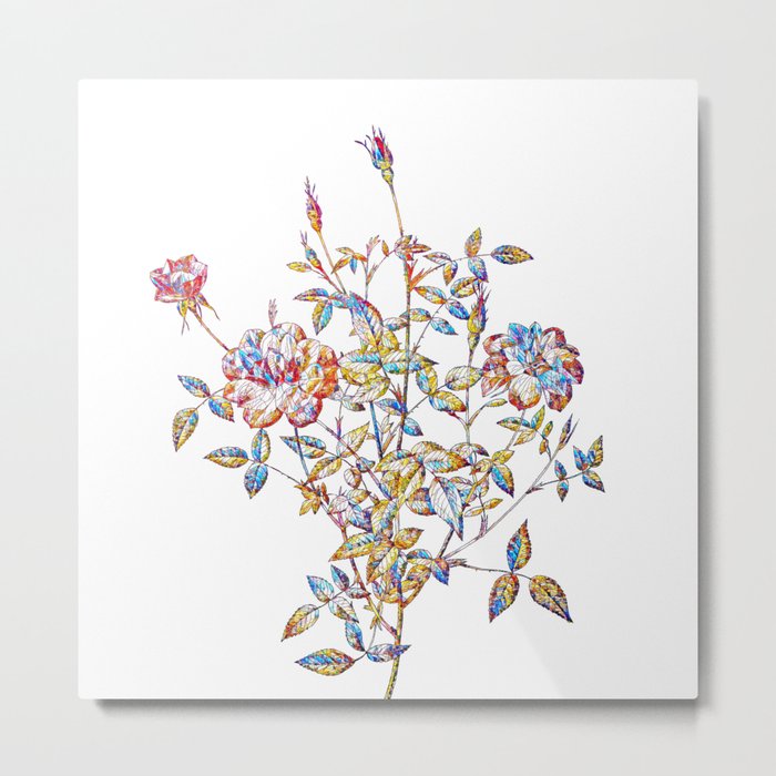 Floral Dwarf Rosebush Mosaic on White Metal Print