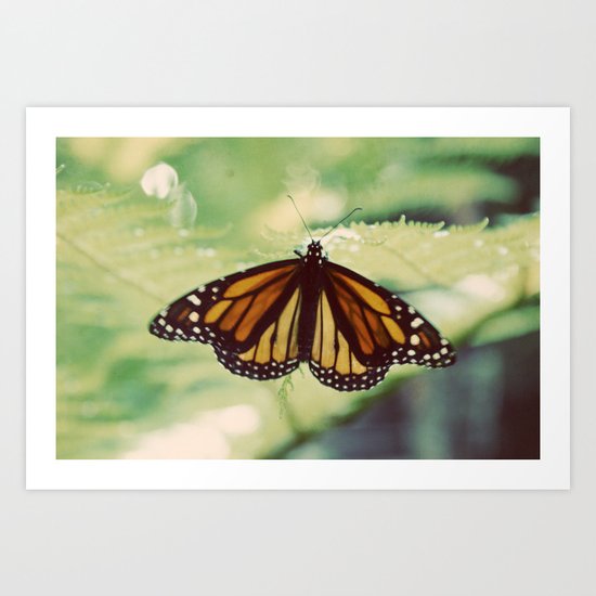 Monarch Art Print