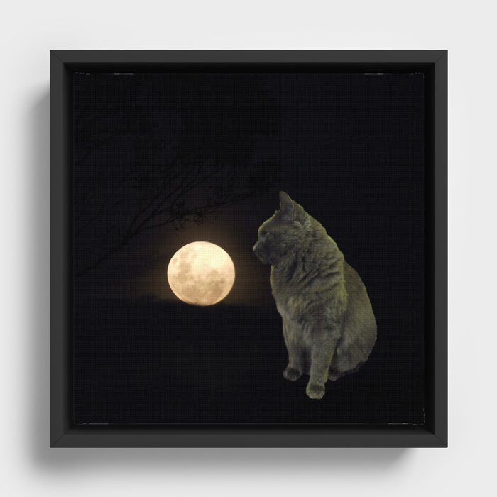 Moon cat Framed Canvas