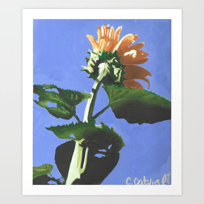 Sunflower-12 Art Print
