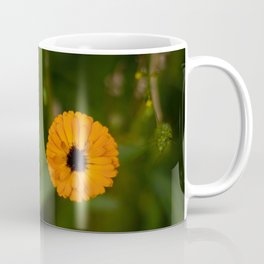 nature photography orange flower garden Coffee Mug
