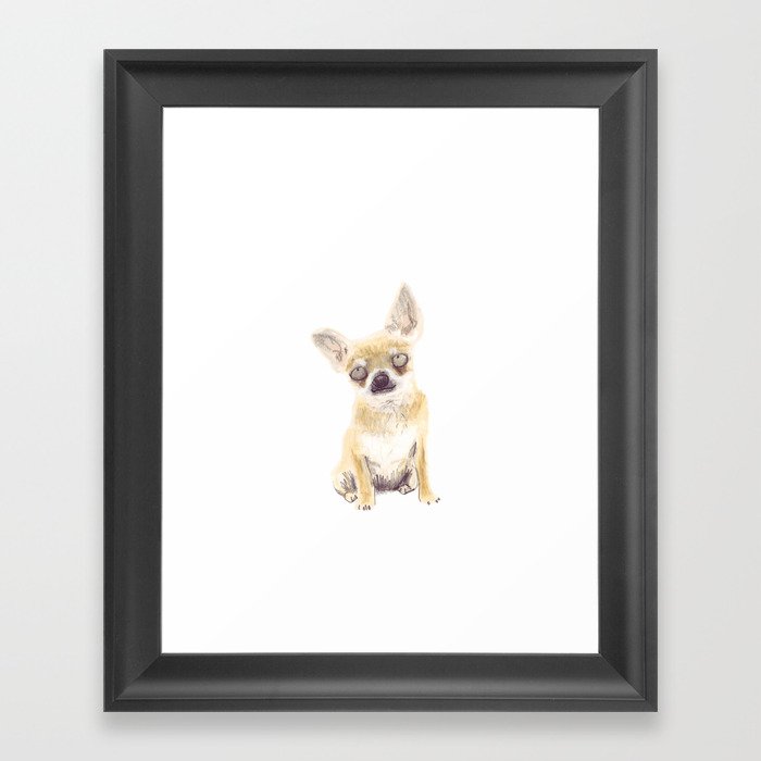 Chihuahua Framed Art Print