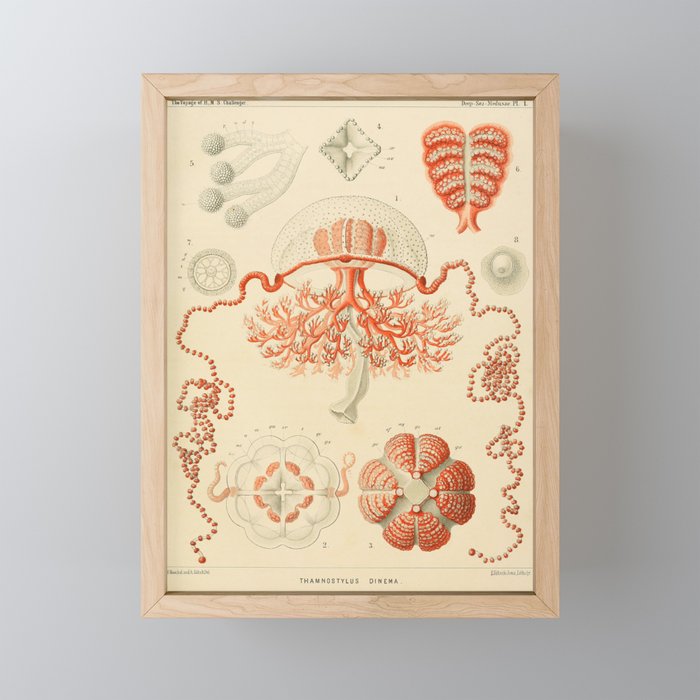 Framed Mini Art Print