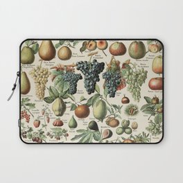 Vintage Fruit Poster 1 - Adolphe Millot Laptop Sleeve