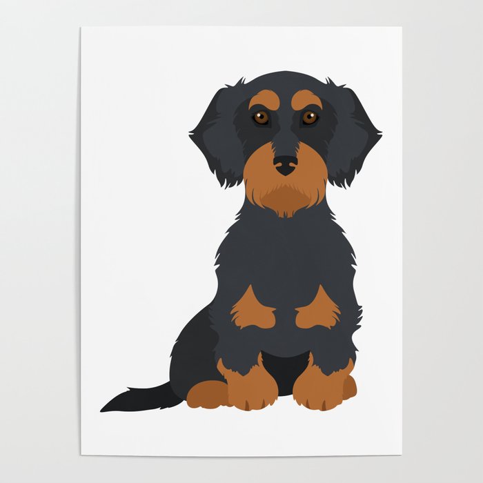 Black Tan Wirehaired Dachshund Sit Poster