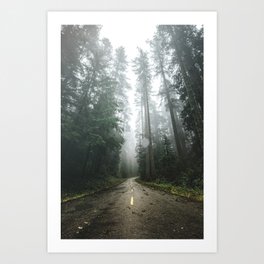The Redwood Road Art Print