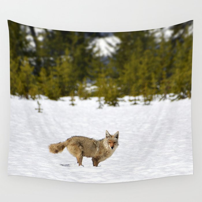 Coyote in Yellowstone, Coyote in Snow, Coyote in Winter, Wildlife in Snow, Wildlife in Yellowstone Wall Tapestry