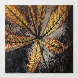 Chestnut leaf Canvas Print