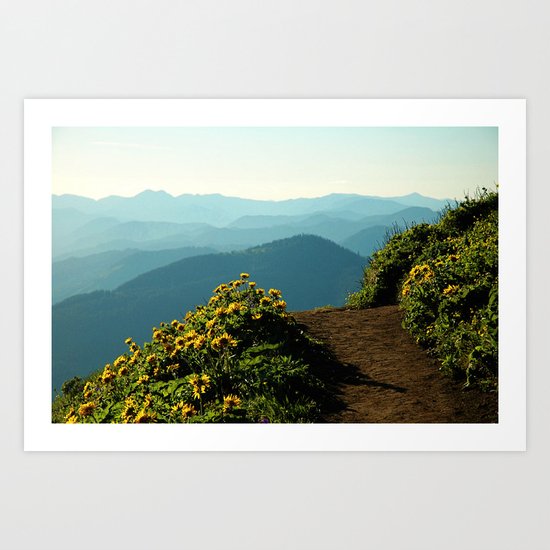 Flowering Balsam Root on Dog Mountain, Columbia River Gorge, Oregon Art Print