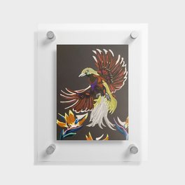 Bird of Paradise Floating Acrylic Print