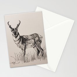 Pronghorn Antelope Stationery Cards