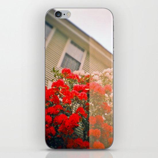 Snow White and Rose Red iPhone & iPod Skin