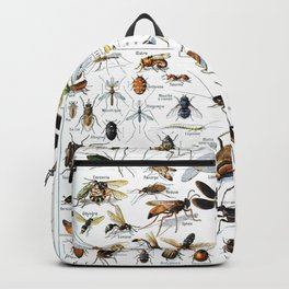 Insects Illustrations by Millot and Larousse Backpack