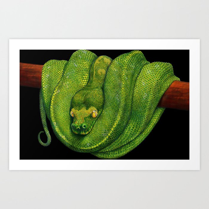 Green Tree Python Art Print by Tim Jeffs Art | Society6