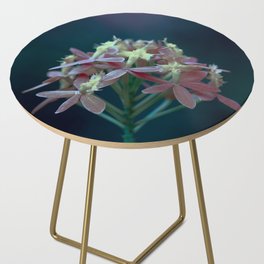 Moody Vibe With Blue Tint Orchid Flower Side Table