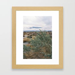 Joshua Tree Color Framed Art Print