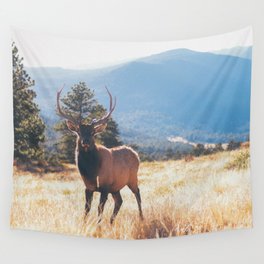 a stare down.  Wall Tapestry