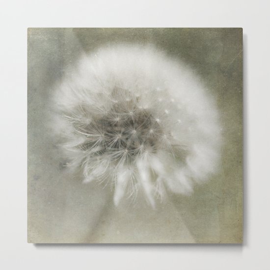 The Dandelion Metal Print