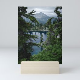 Alpine Wilderness  Mini Art Print