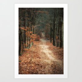 Autumn Path IV Art Print