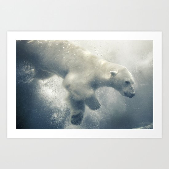 Polar Swim Art Print