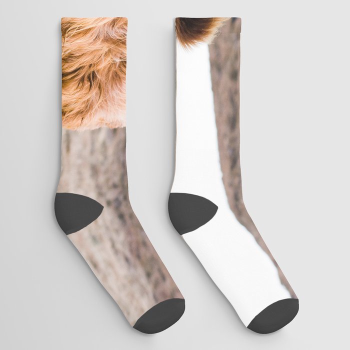 Beautiful Highland Cow Socks