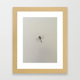 Muskoka Dragonfly Framed Art Print