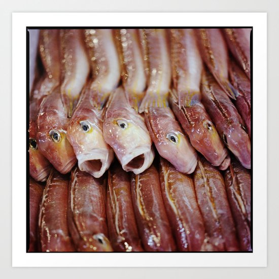 Lined Fish Art Print