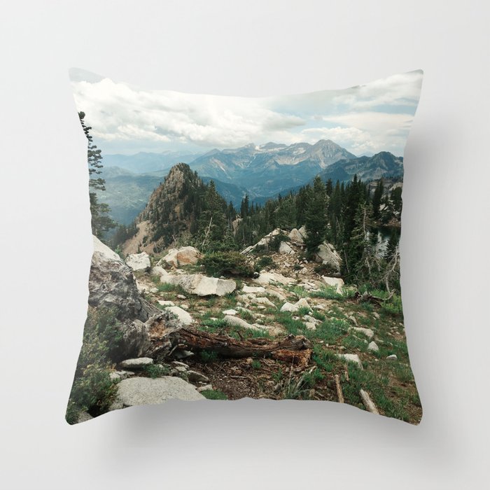 Throw Pillow