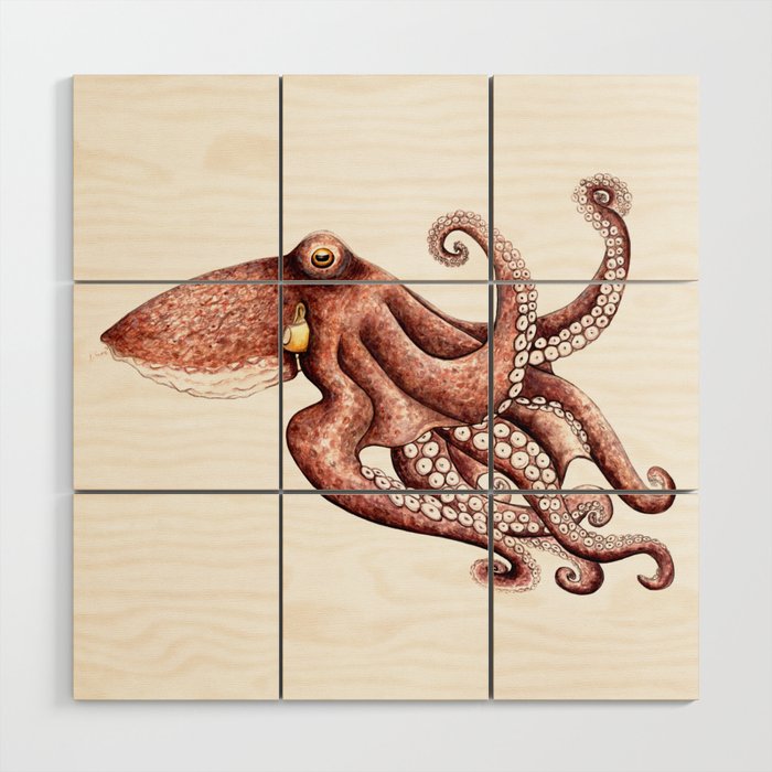 Octopus (Octopus vulgaris) Wood Wall Art