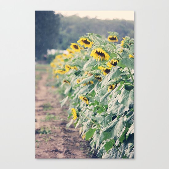 Singing in the Rain Canvas Print