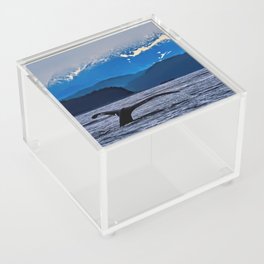 Alaskan Whale  Acrylic Box
