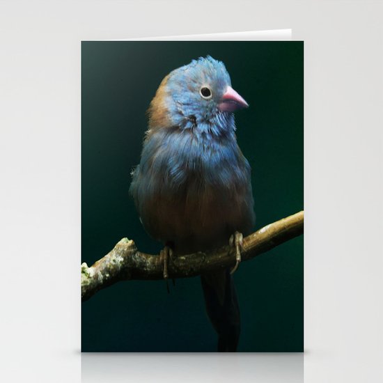 Cordon Bleu Canary Stationery Cards