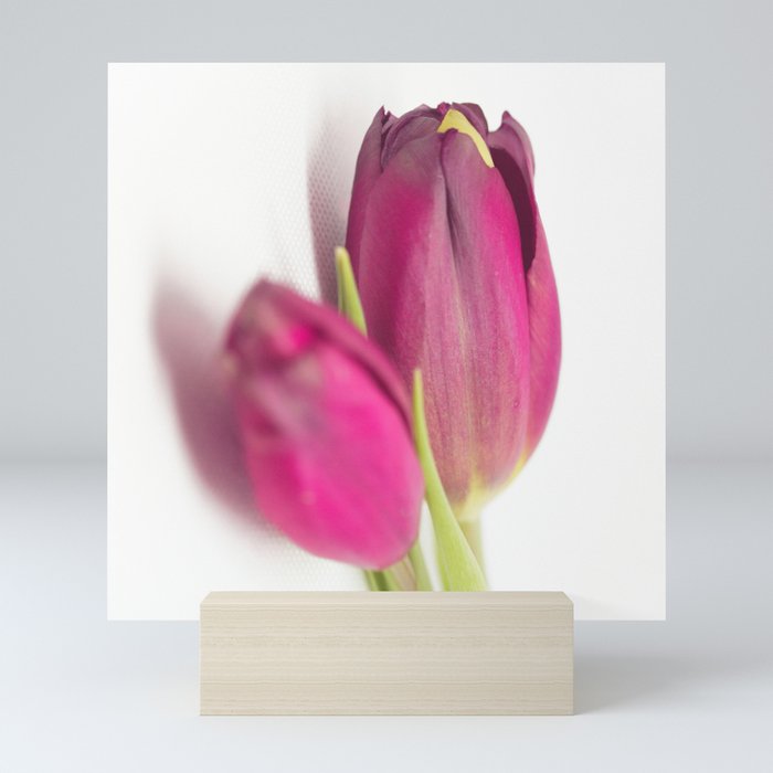 Tulips_01 Mini Art Print