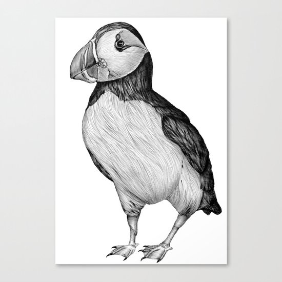 Sea Flyer Canvas Print