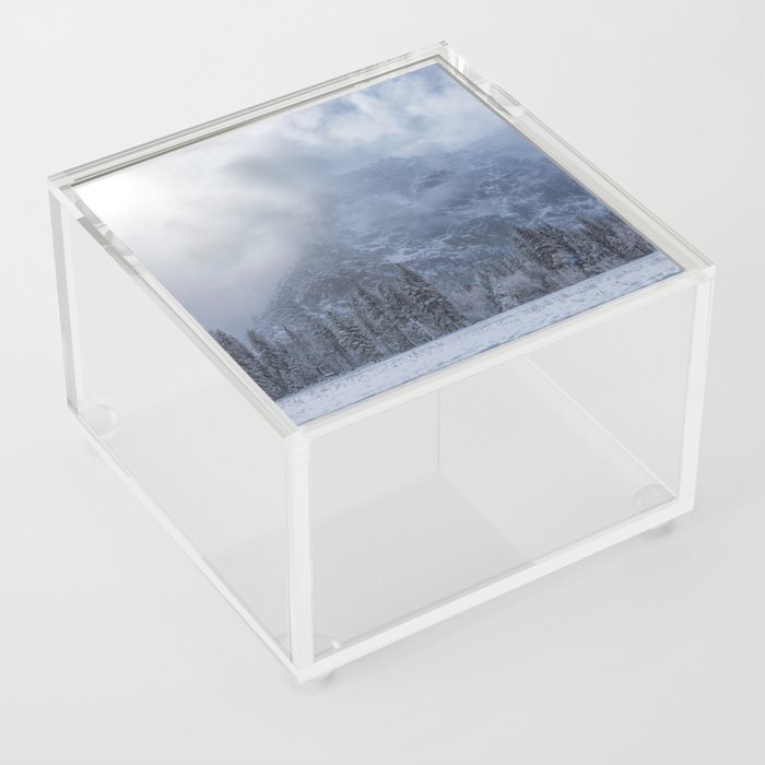 Snowing at the Meadow Acrylic Box