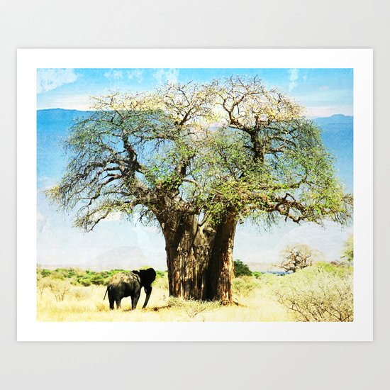 Finding an old friend - elephant in the wild Art Print