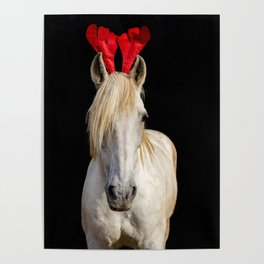 Christmas Lusitano horse, black background, cute and funny, red hat.  Poster