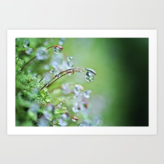 When you hear the fairies sing, you'll know you found my secret hiding place... Art Print