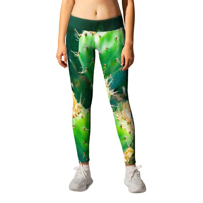 Close Up Of Blooming Green Cactus With Yellow Flowers Leggings