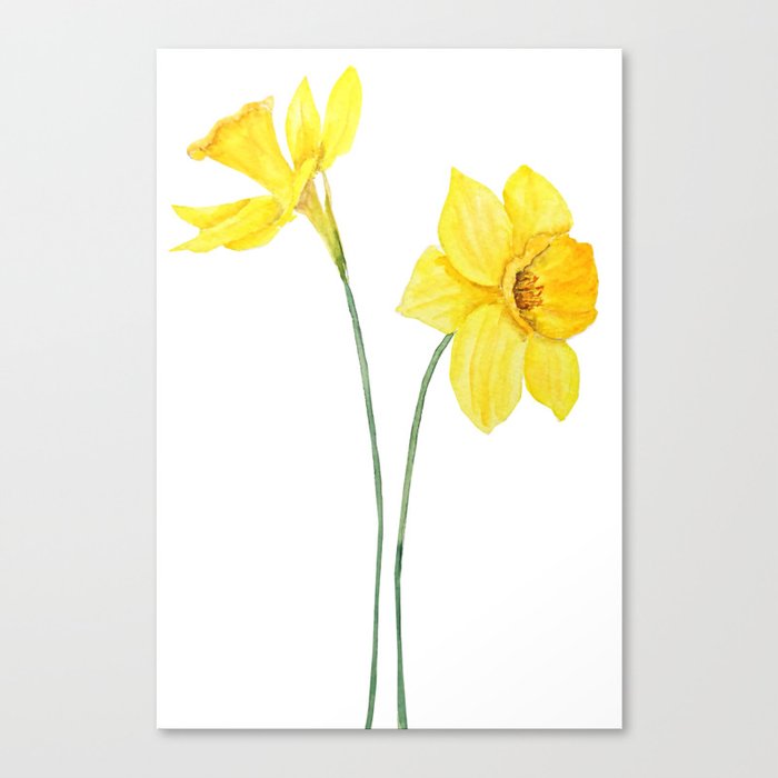 Yellow daffodil watercolor art print floral art print flower artwork, daffodil watercolour painting spring flowers wall art