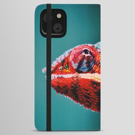 South Africa Photography - Colorful Chameleon iPhone Wallet Case