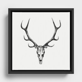 Stag skull drawing, The Great and Small Game of India Framed Canvas