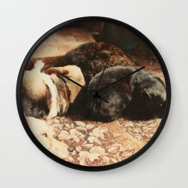 Cats and dogs sleeping on the carpet Wall Clock | Vintage, Animal, Photo, Love 
