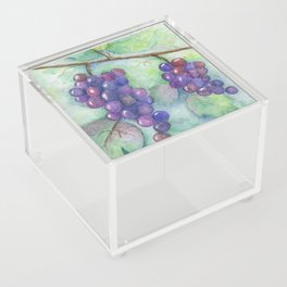 grapes Acrylic Box