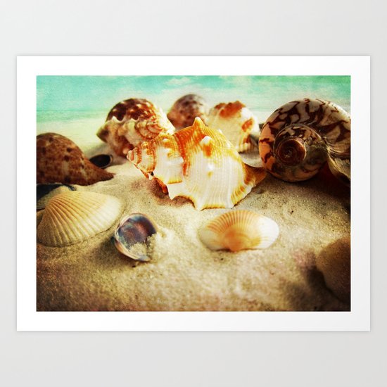 Shell Art Print