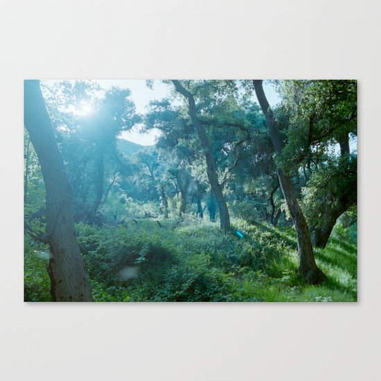 Green Forest I Canvas Print