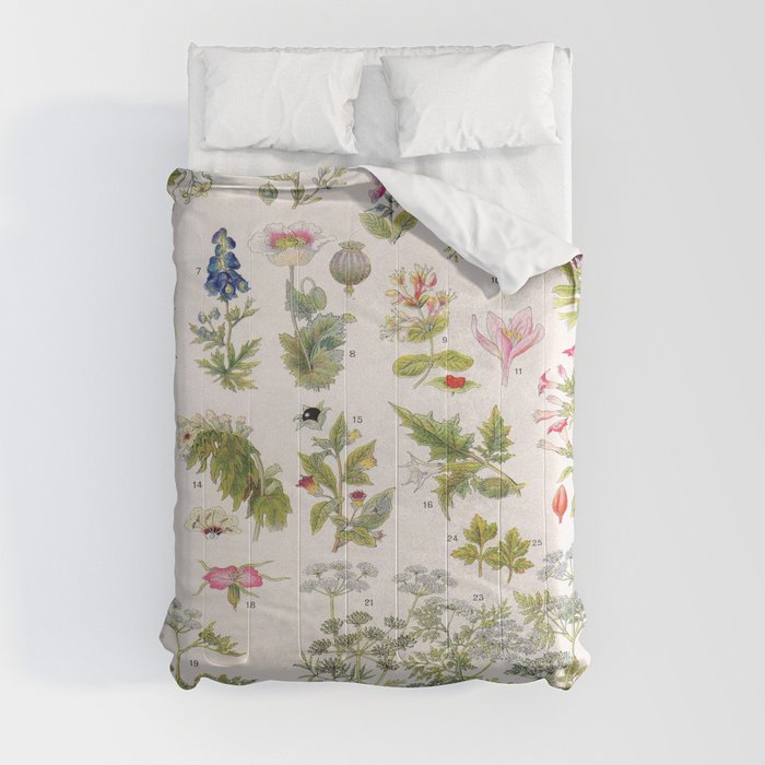 poisonous plants vintage scientific illustration botanical encyclopedia