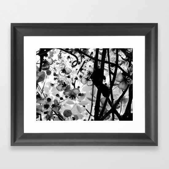 The Chocolate Vine Framed Art Print