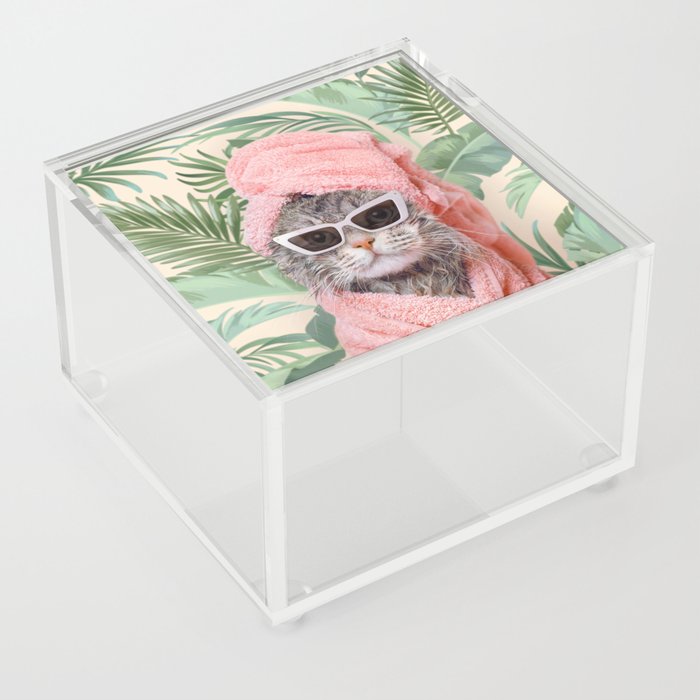 BEVERLY HILLS CAT Acrylic Box